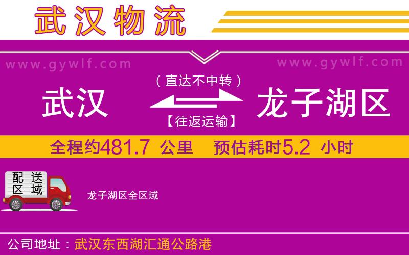 武漢到龍子湖區(qū)貨運公司