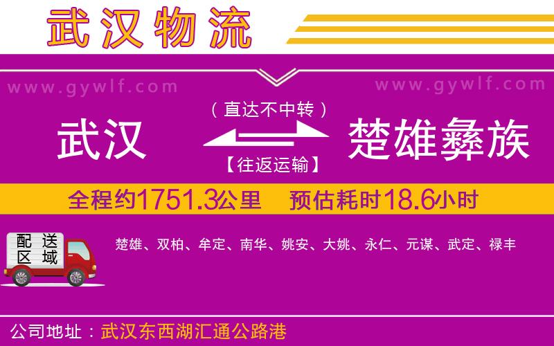 武漢到楚雄彝族自治州貨運(yùn)公司