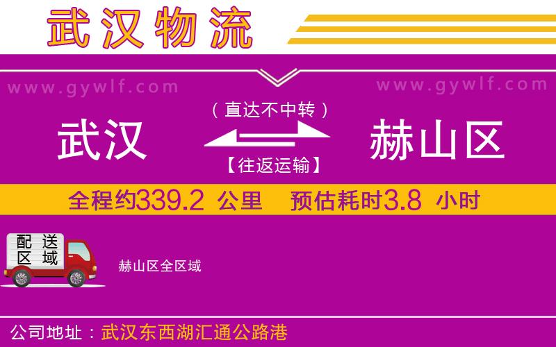 武漢到赫山區(qū)物流公司