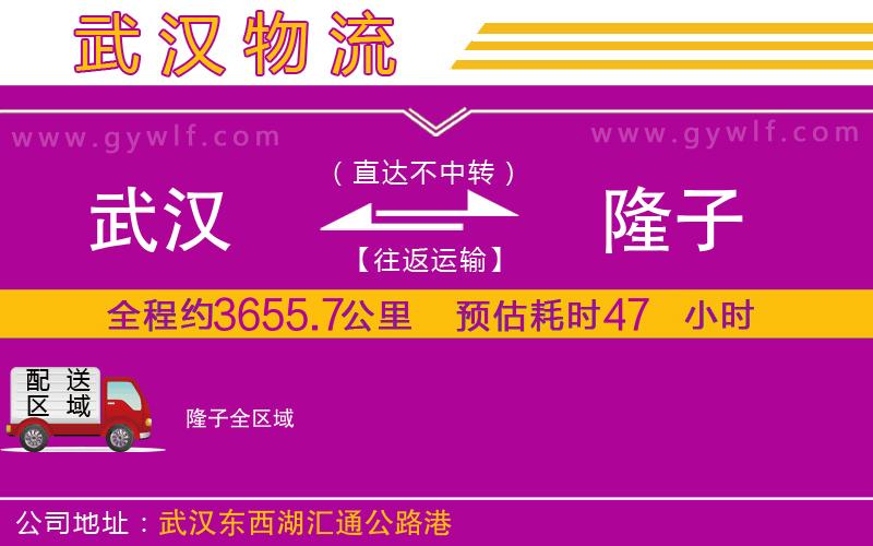 武漢到隆子貨運(yùn)公司