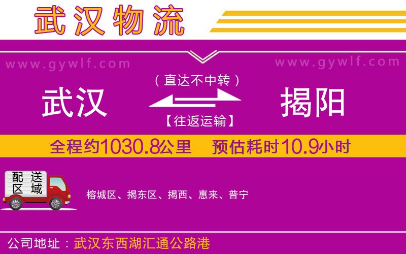 武漢到揭陽貨運(yùn)公司