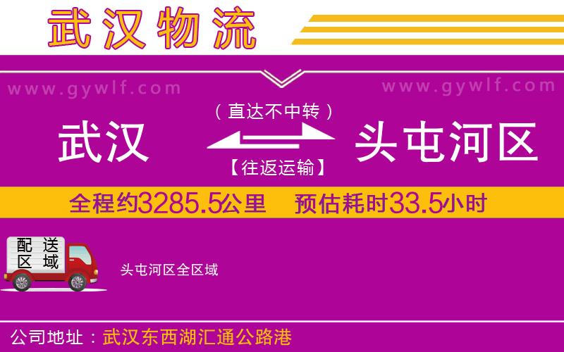 武漢到頭屯河區(qū)貨運(yùn)公司