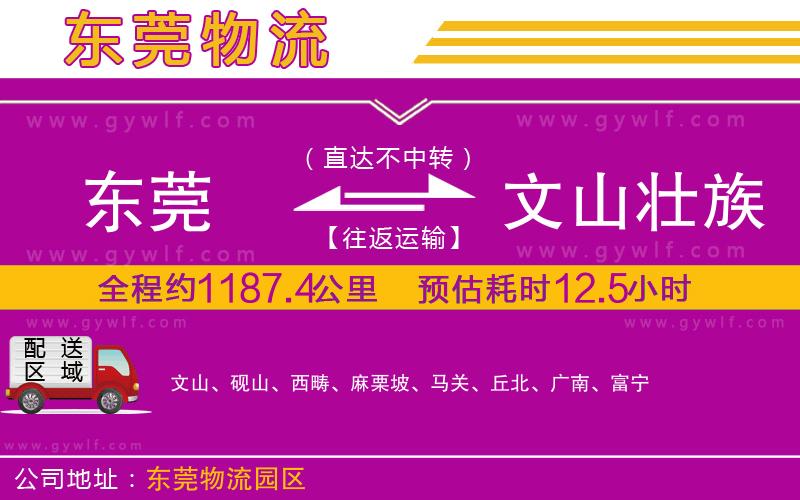 東莞到文山壯族苗族自治州物流公司