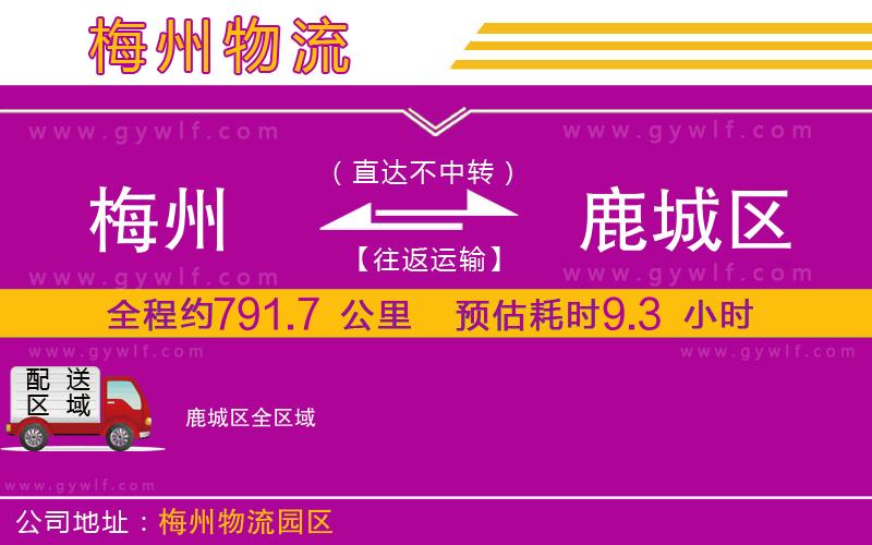 梅州到鹿城區(qū)物流公司