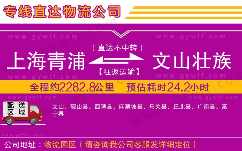 上海青浦區(qū)到文山壯族苗族自治州物流公司