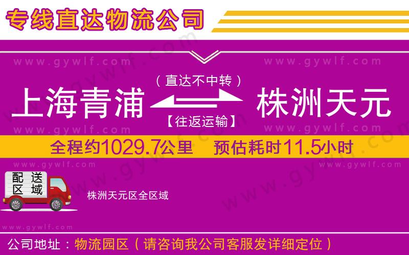 上海青浦區(qū)到株洲天元區(qū)物流公司