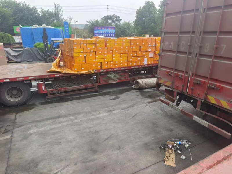 呼和浩特到阿拉爾物流專線