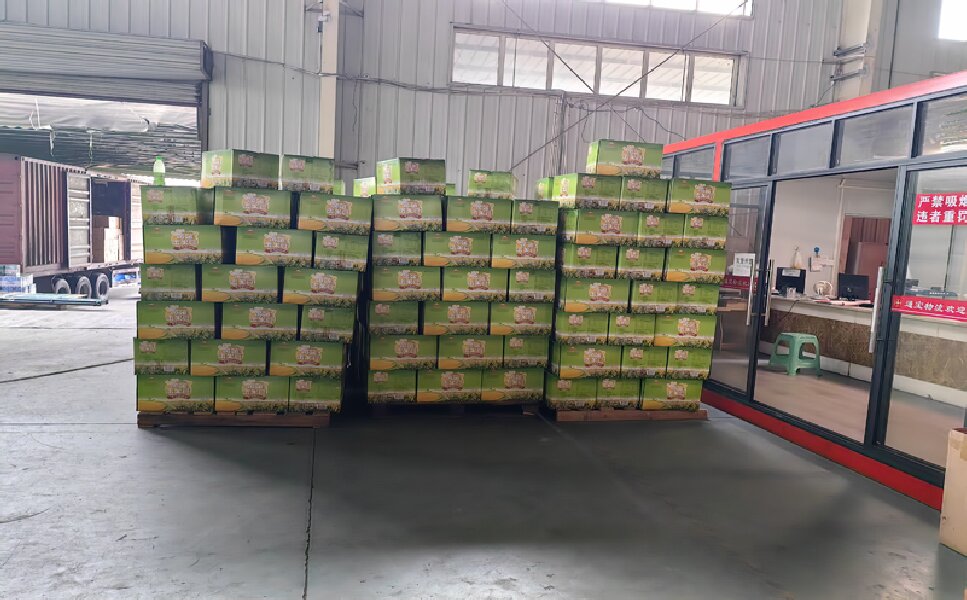 義烏到輪臺物流專線